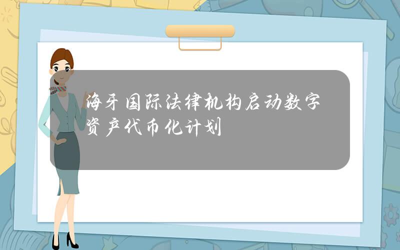 海牙国际法律机构启动数字资产代币化计划