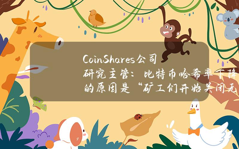 CoinShares公司研究主管：比特币哈希率下降的原因是“矿工们开始关闭无利可图的矿机“