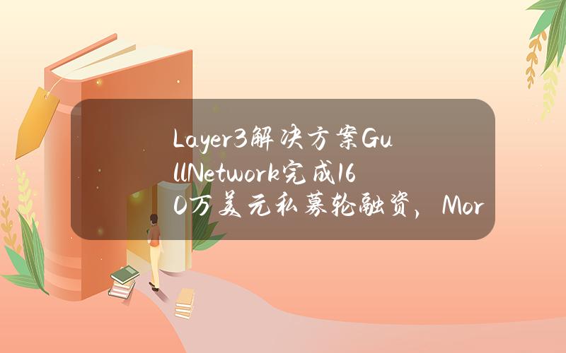 Layer3解决方案GullNetwork完成160万美元私募轮融资，MorningstarVentures等领投