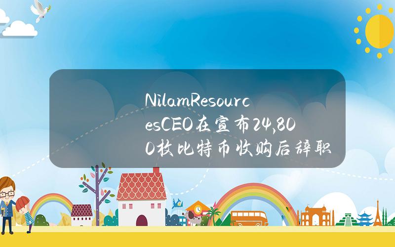 NilamResourcesCEO在宣布24,800枚比特币收购后辞职