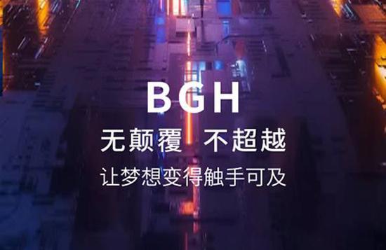 区块链最有潜力的虚拟货币BGH（比特币63000高度分叉币）